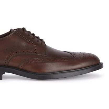 Brown Brogue Shoes